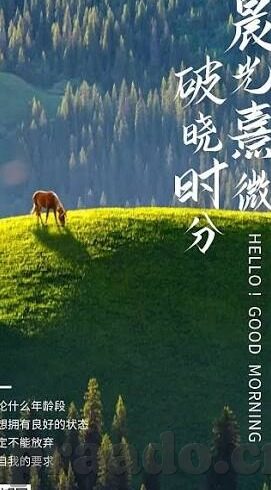 浪荡人妻攻略系统-浪荡人妻攻略系统，一场关于爱与选择的虚拟冒险