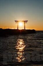 麻豆app下载软件-掌握潮流，揭秘麻豆App下载的全方位指南