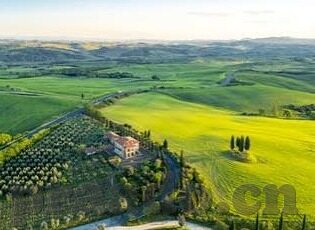 麻豆av无码蜜臀av-探索视觉艺术与边界，一个关于艺术欣赏的深思