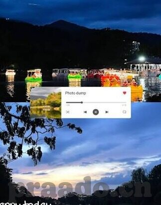 糖心vlog破解版无付费-网络空间中的信息选择与版权尊重——以糖心Vlog应用为例的深思