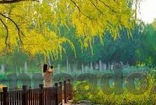 桃色人妻av-桃色人妻，社会伦理与个人选择的交织
